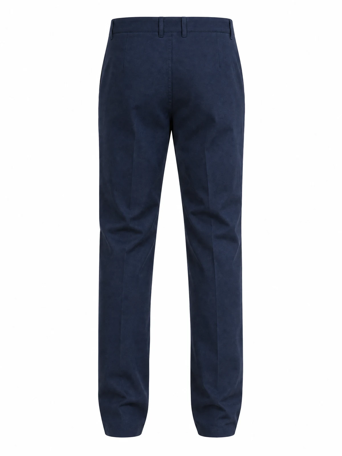 Pleated Casual Pants, back view reference